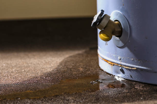 Best Ceiling water damage repair  in Dallas, TX