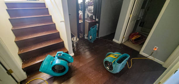 Best Water damage restoration company  in Dallas, TX