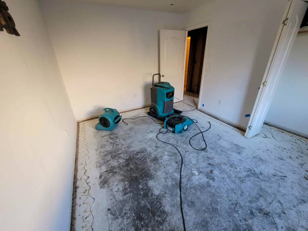 Best Water damage restoration near me  in Dallas, TX