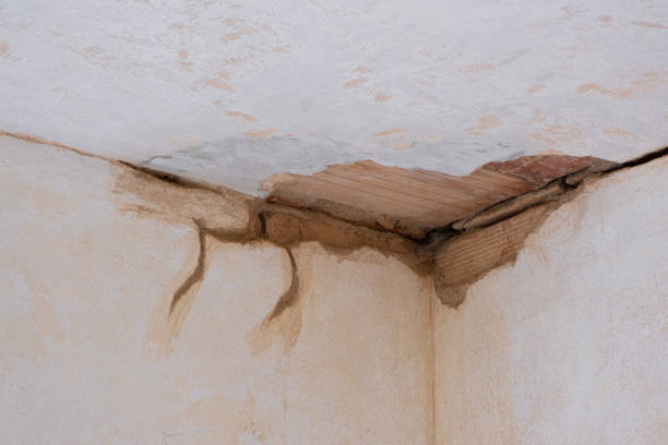 Best Basement water damage restoration  in Dallas, TX