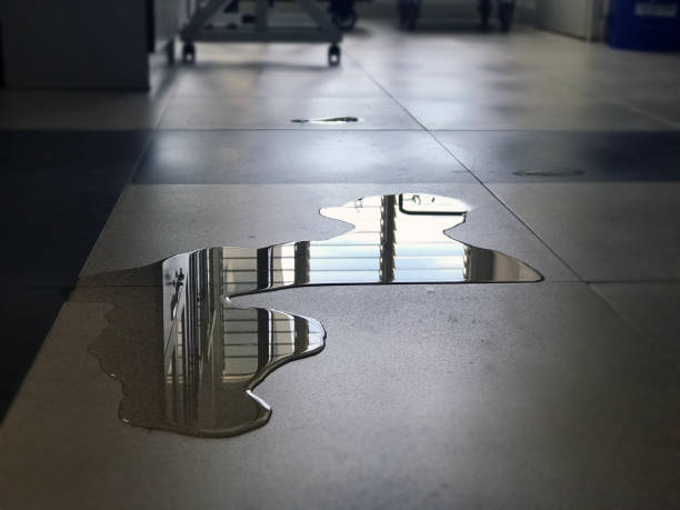 Best Professional water damage repair  in Dallas, TX