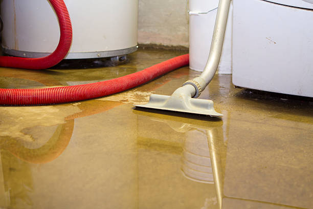 Water damage restoration experts in TX