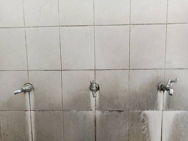 Best Flood damage cleanup  in Dallas, TX