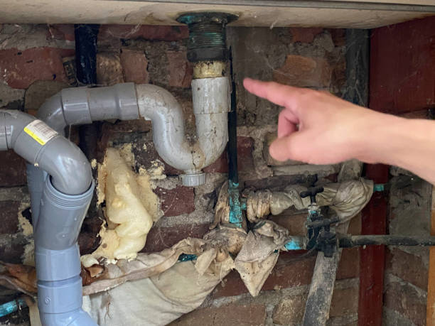 Best Water damage contractors near me  in Dallas, TX